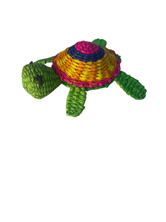 Goyo la Tortuga Morrocoy