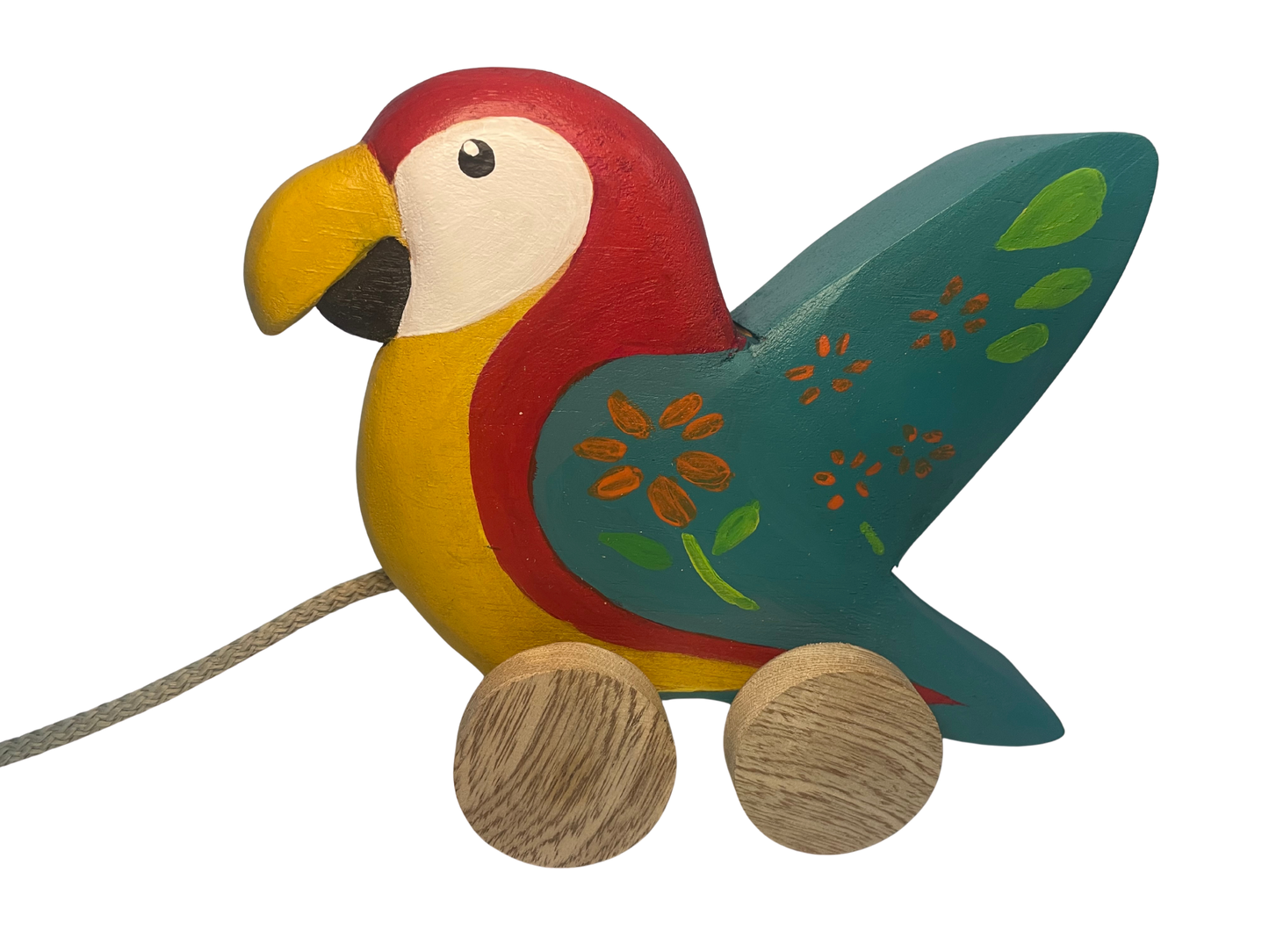 Peko, The Colombian Macaw