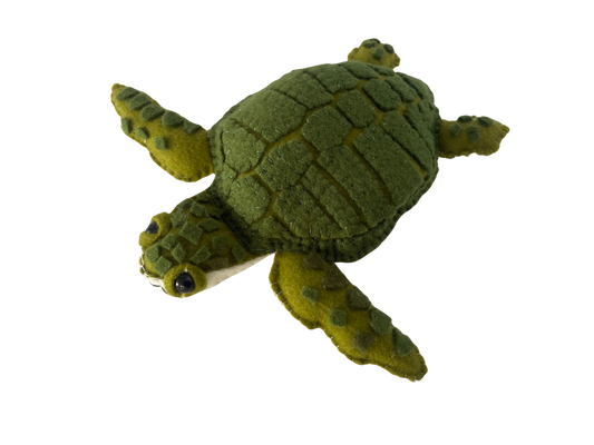 Marea, La Tortuga Carey Colombiana