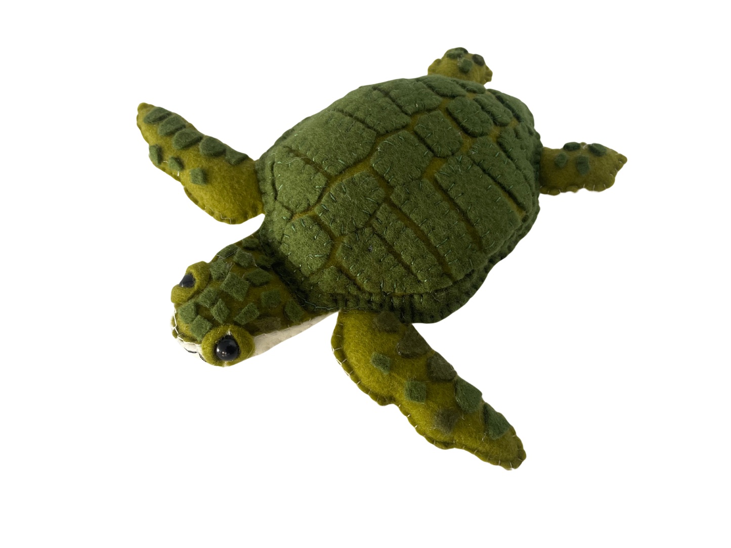 Marea, La Tortuga Carey Colombiana