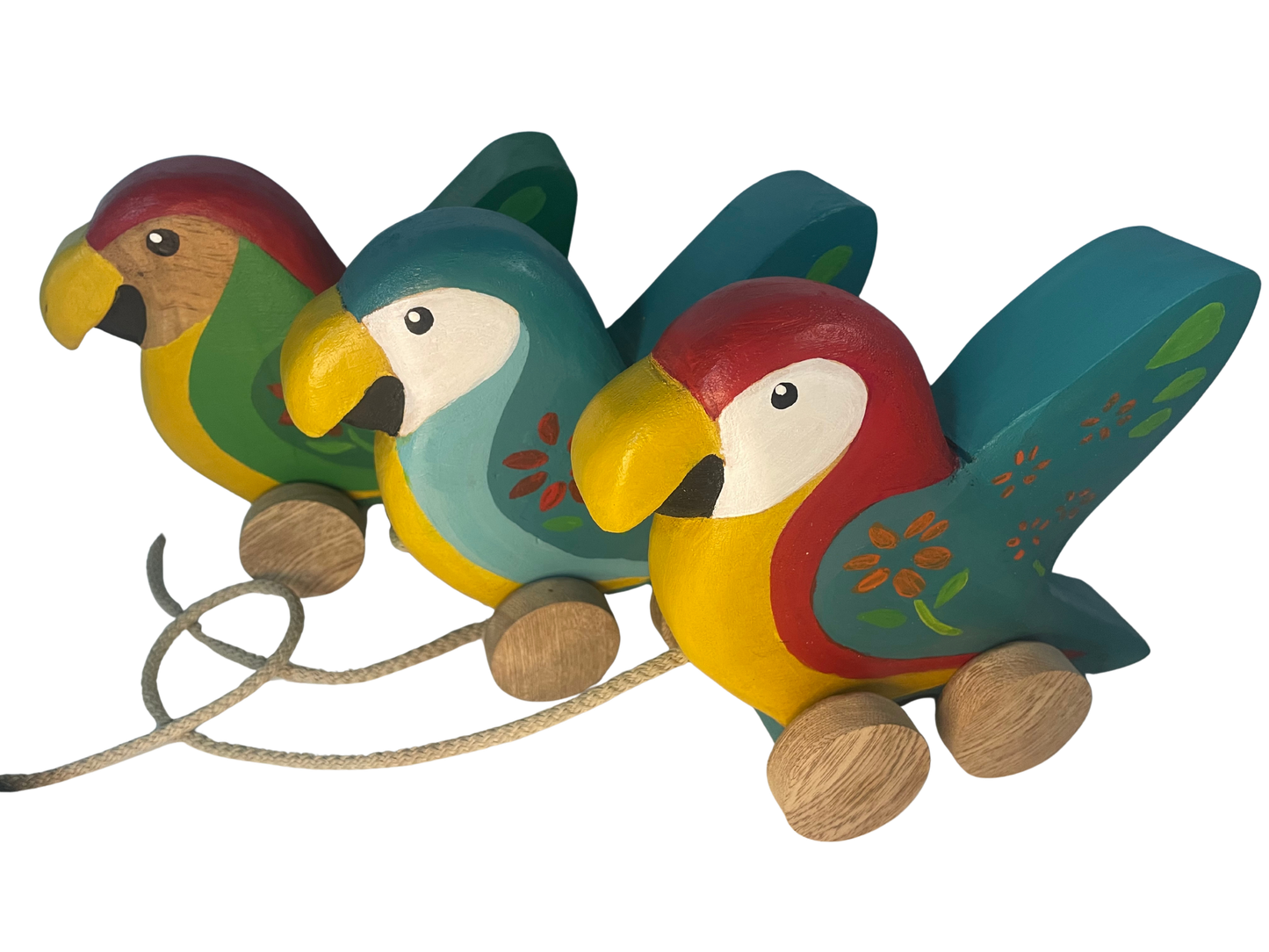 Peko, The Colombian Macaw