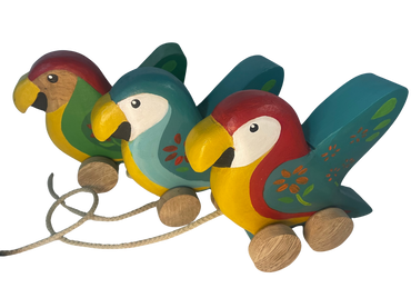 Peko, La Guacamaya Colombiana