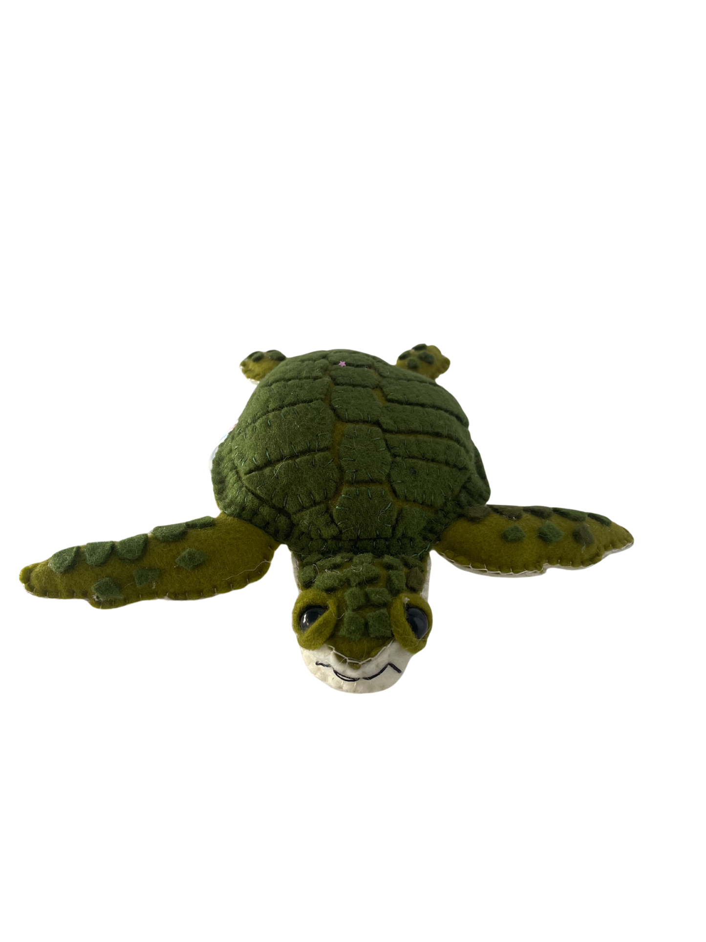 Marea, La Tortuga Carey Colombiana