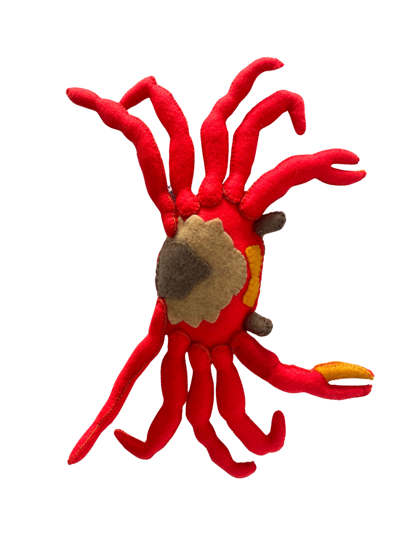 Yuru, El Cangrejo de Rio Colombiano