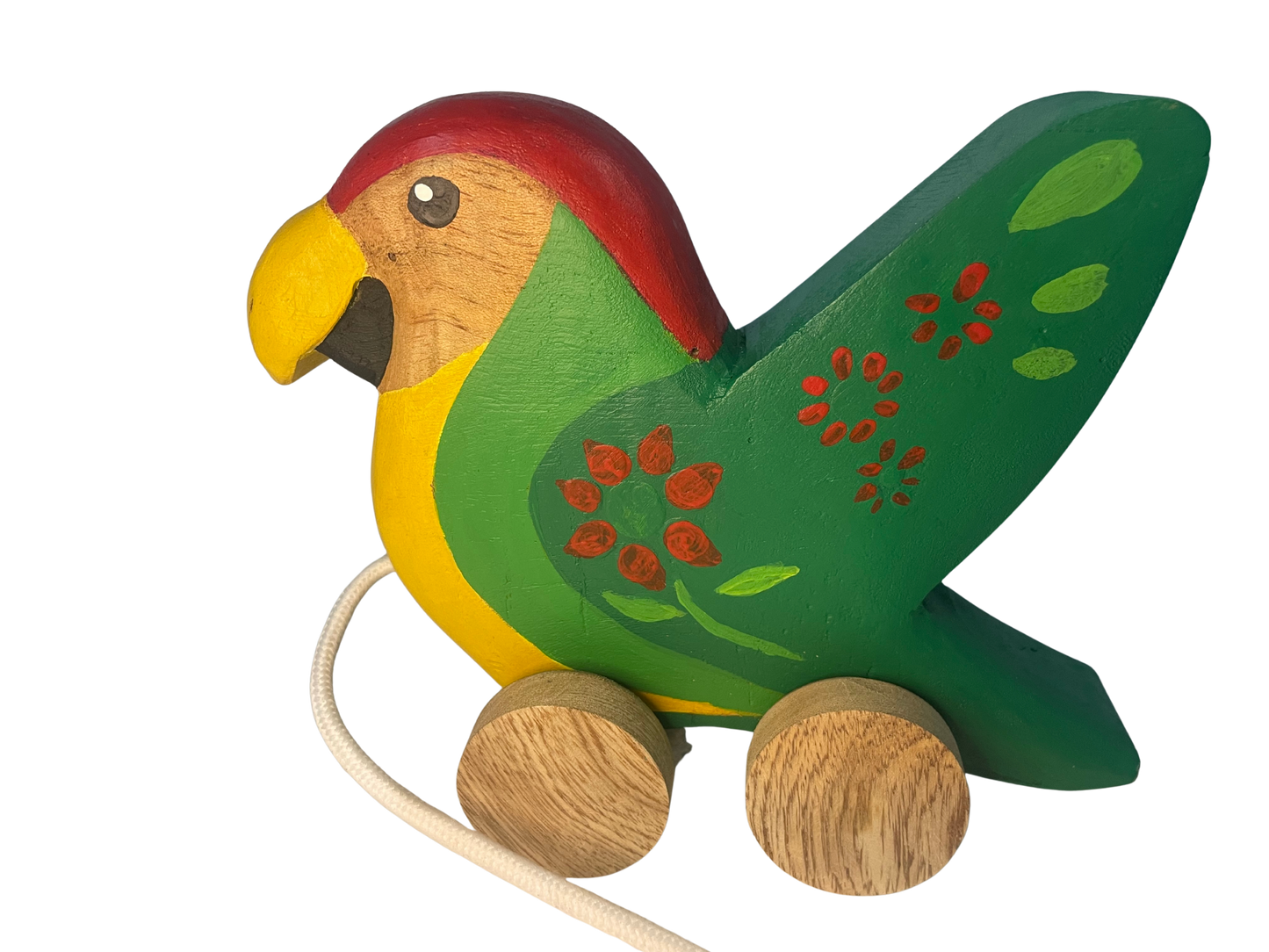 Peko, The Colombian Macaw