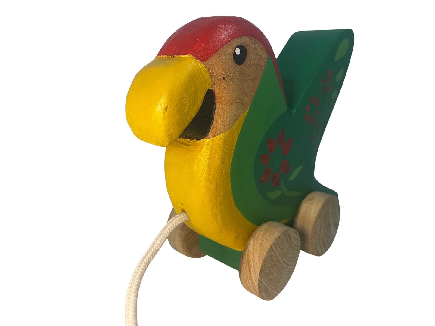 Peko, The Colombian Macaw