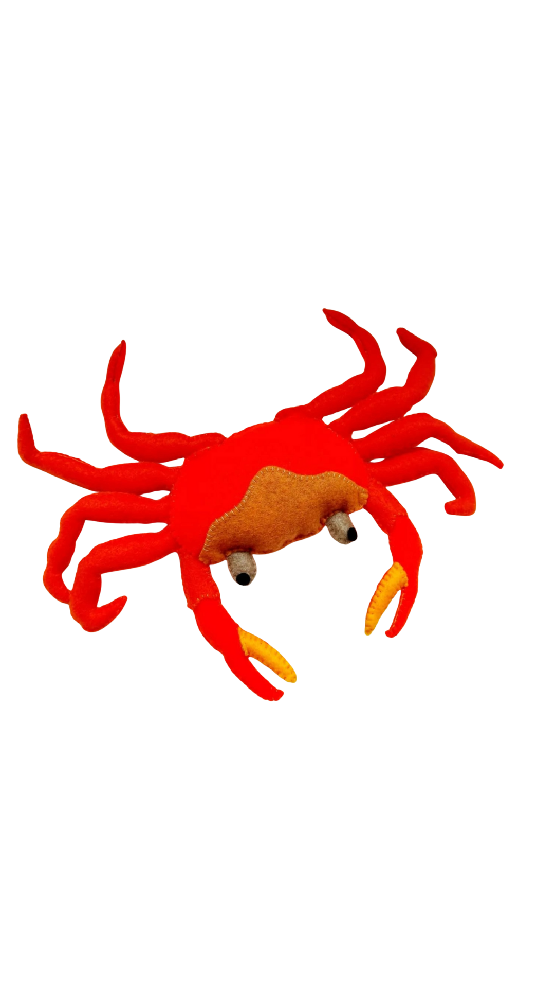 Yuru, El Cangrejo de Rio Colombiano