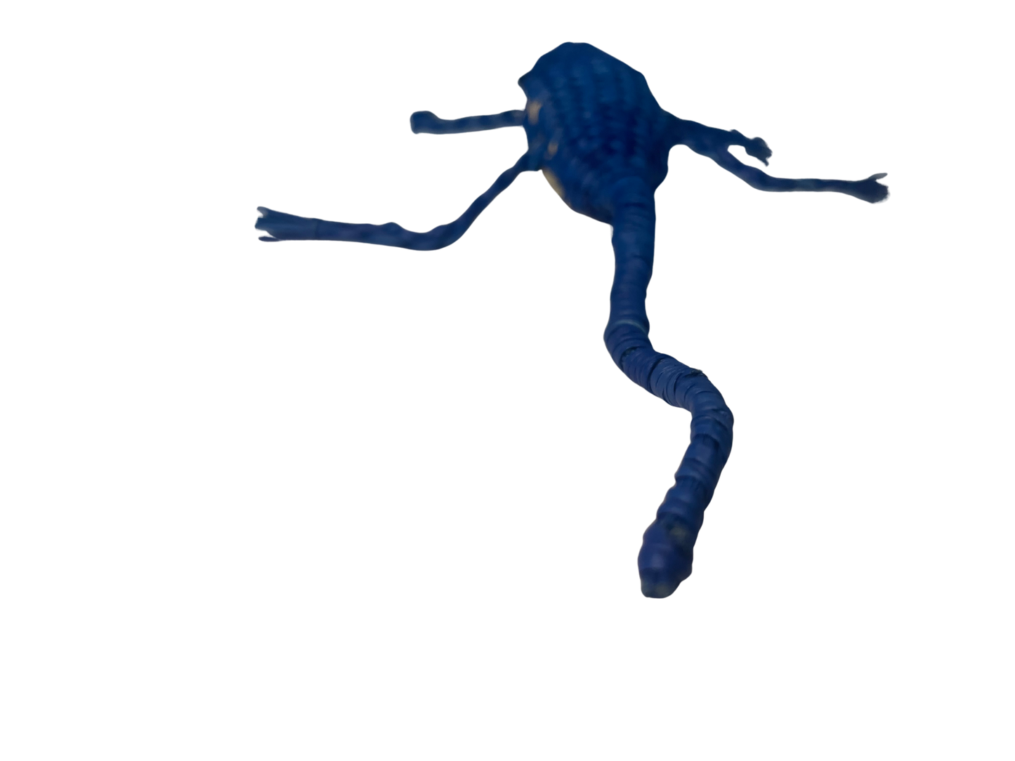 Gorgo El Lagarto Azul