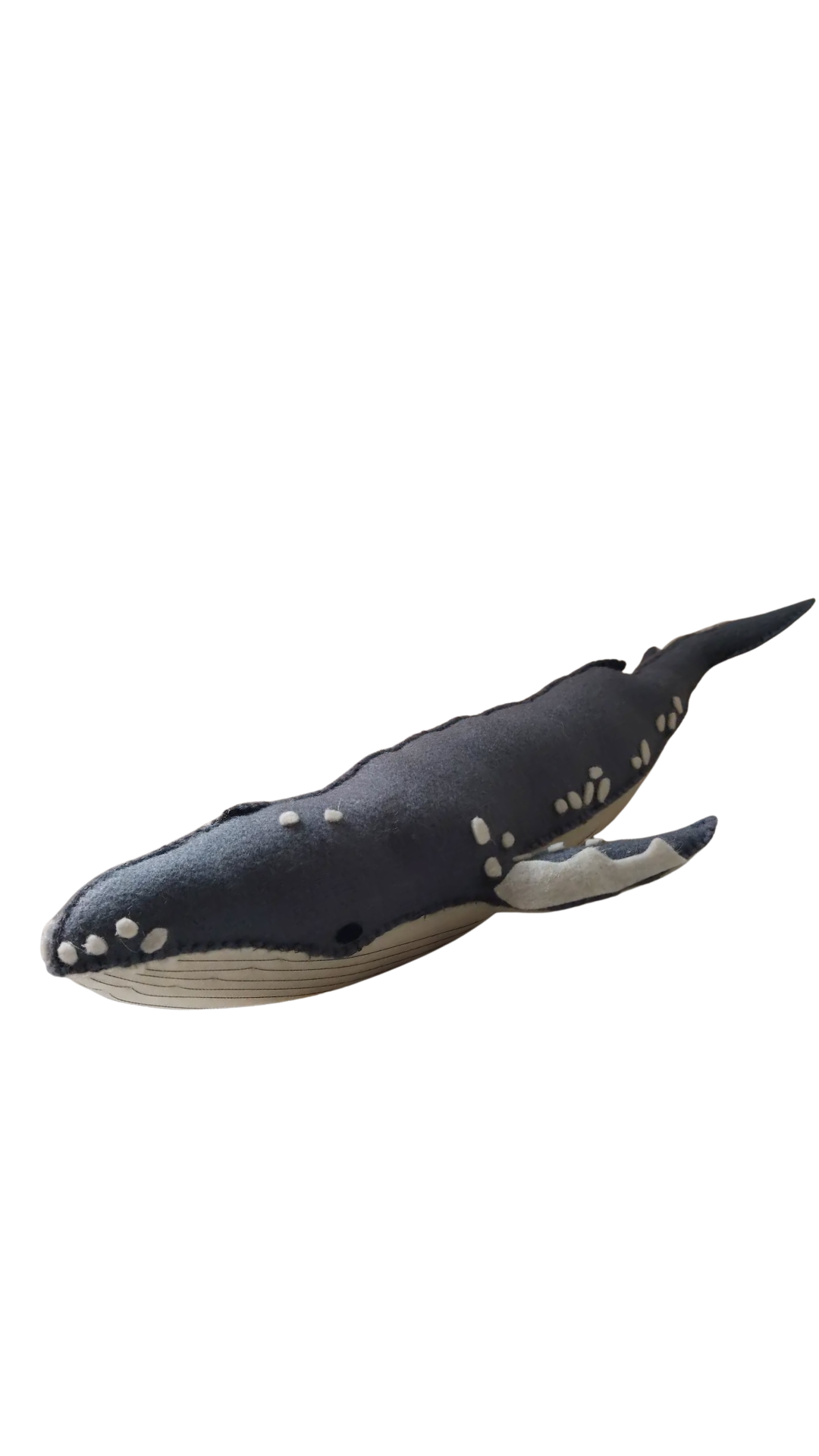 Nayla, La Ballena Yubarta Colombiana