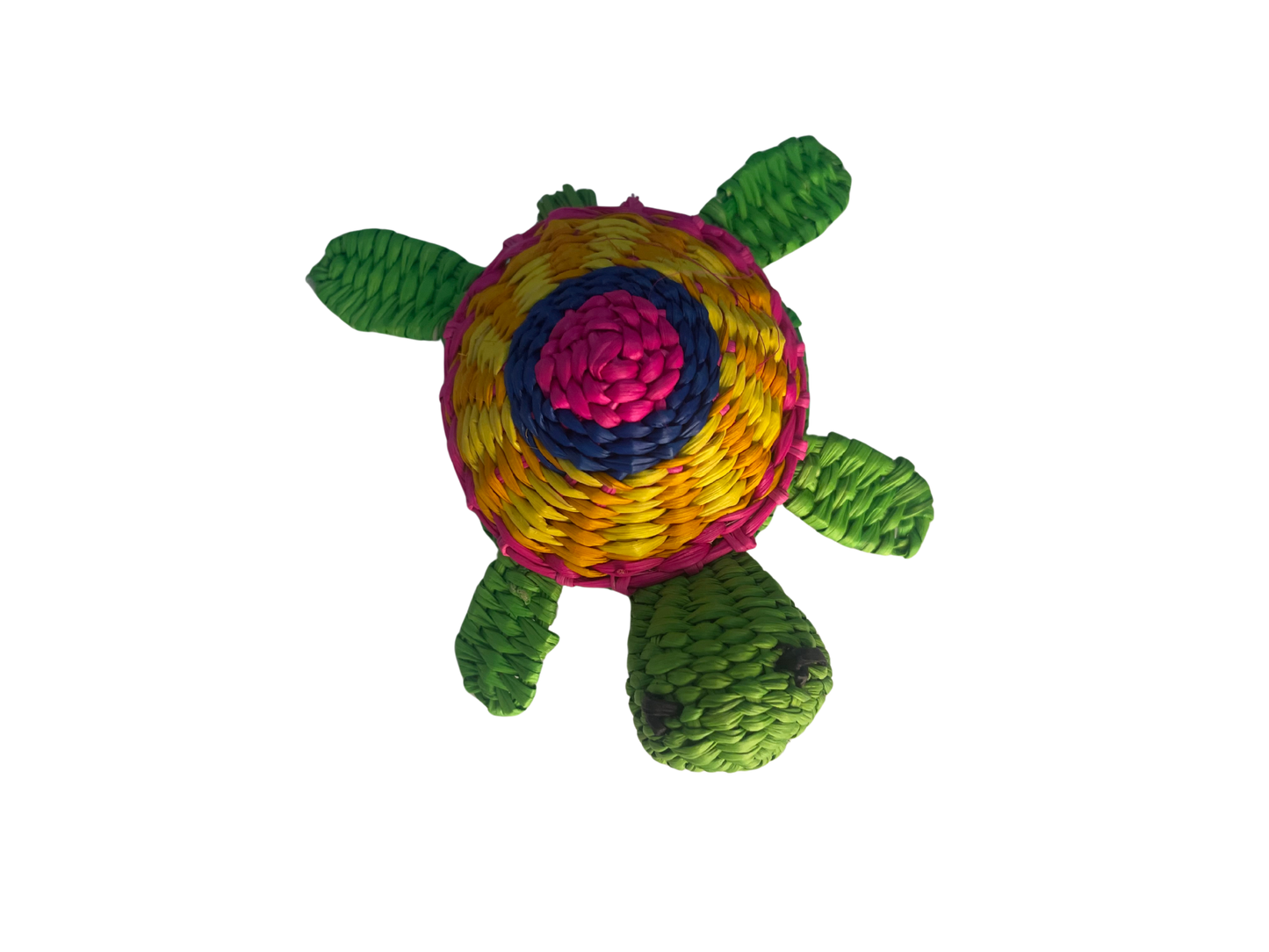 Goyo la Tortuga Morrocoy