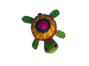 Goyo la Tortuga Morrocoy