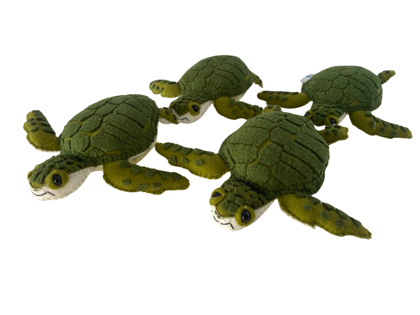 Marea, La Tortuga Carey Colombiana