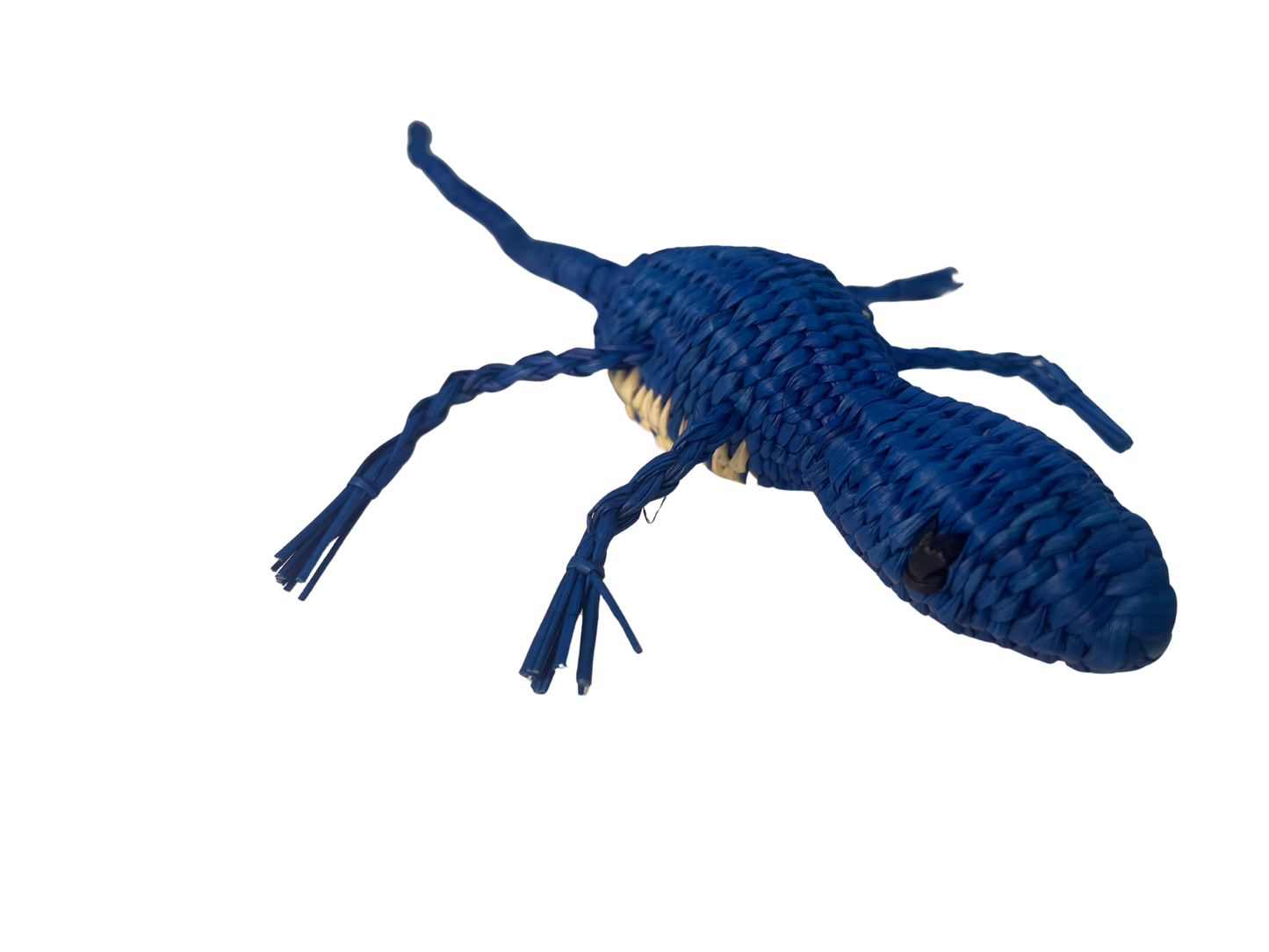 Gorgo El Lagarto Azul