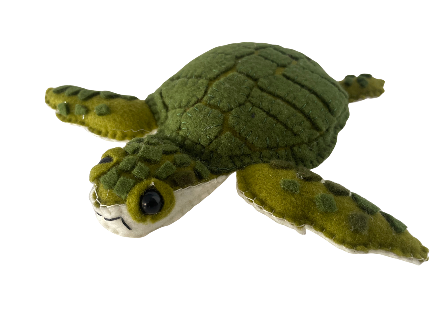 Marea, La Tortuga Carey Colombiana