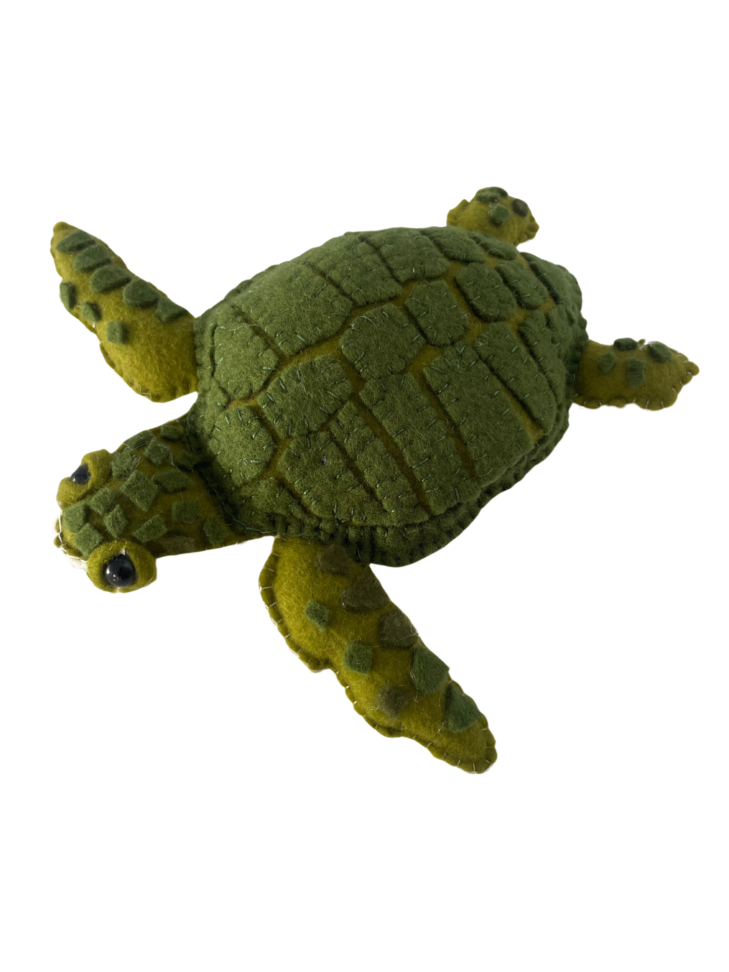 Marea, La Tortuga Carey Colombiana