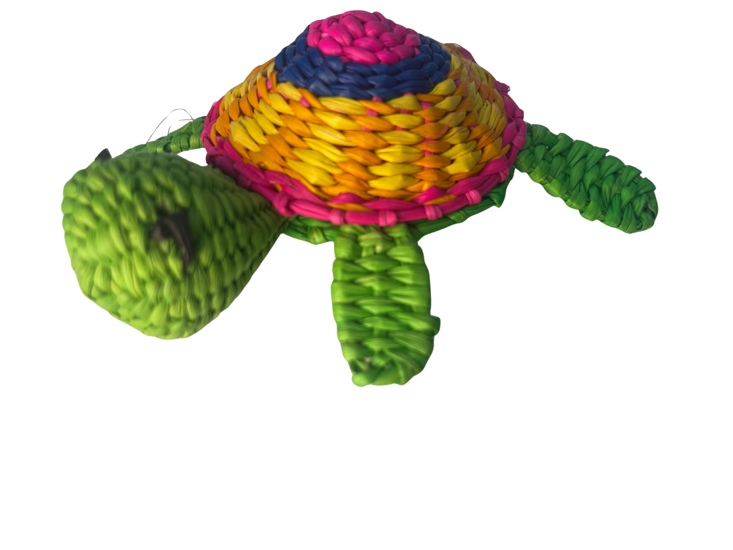 Goyo la Tortuga Morrocoy