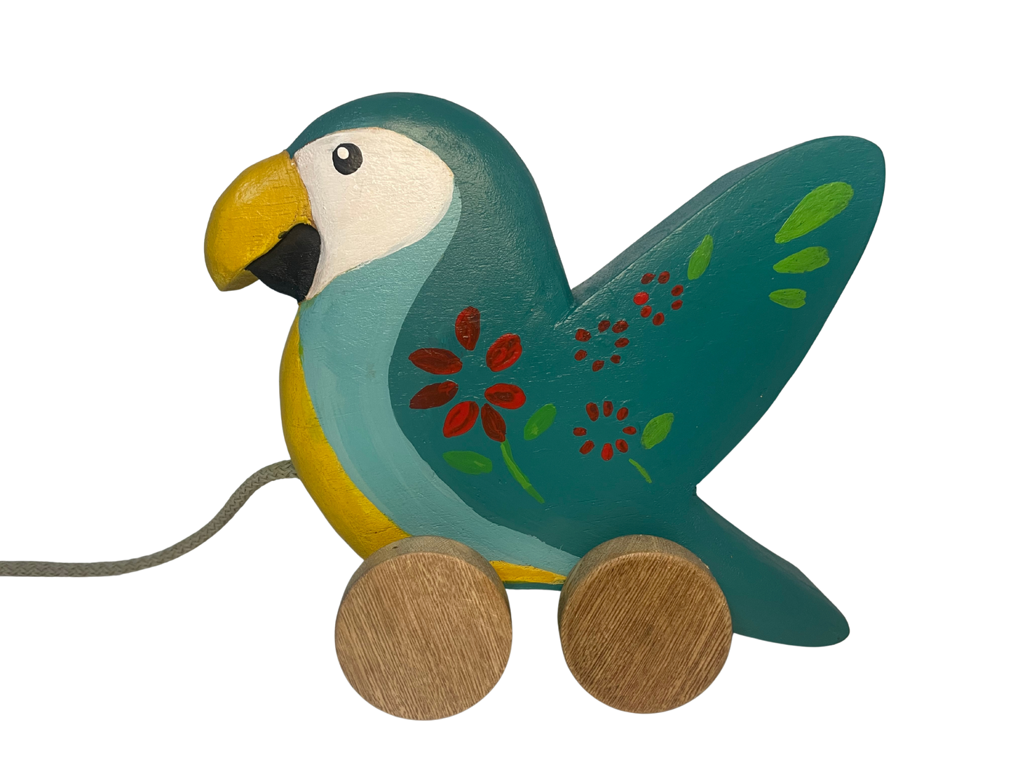 Peko, The Colombian Macaw