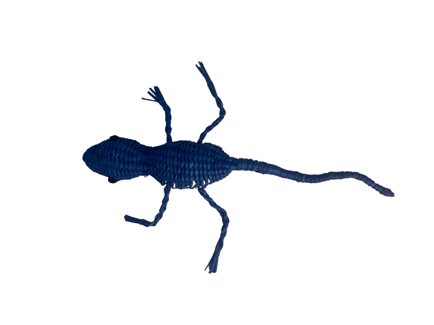 Gorgo El Lagarto Azul