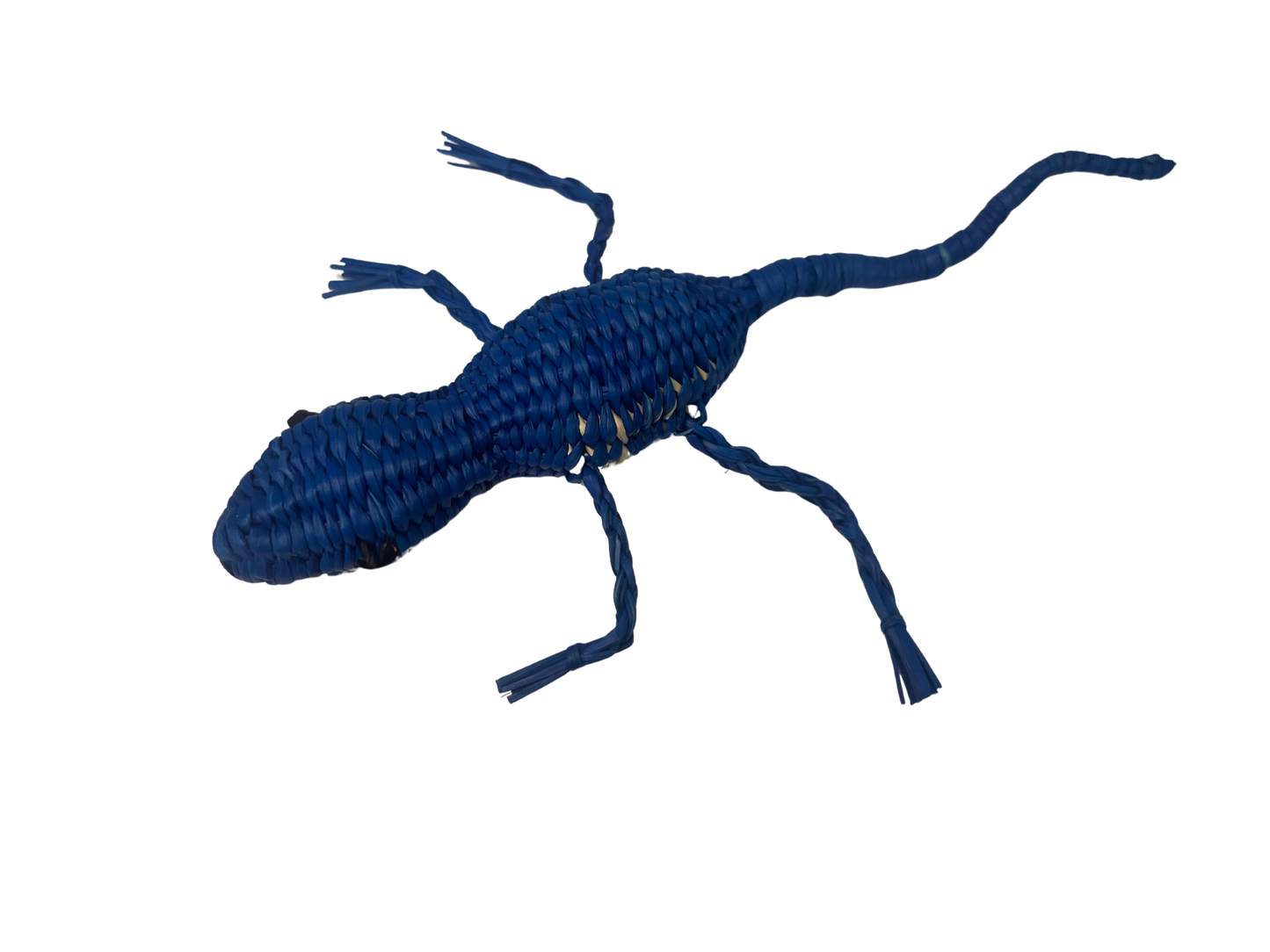 Gorgo El Lagarto Azul